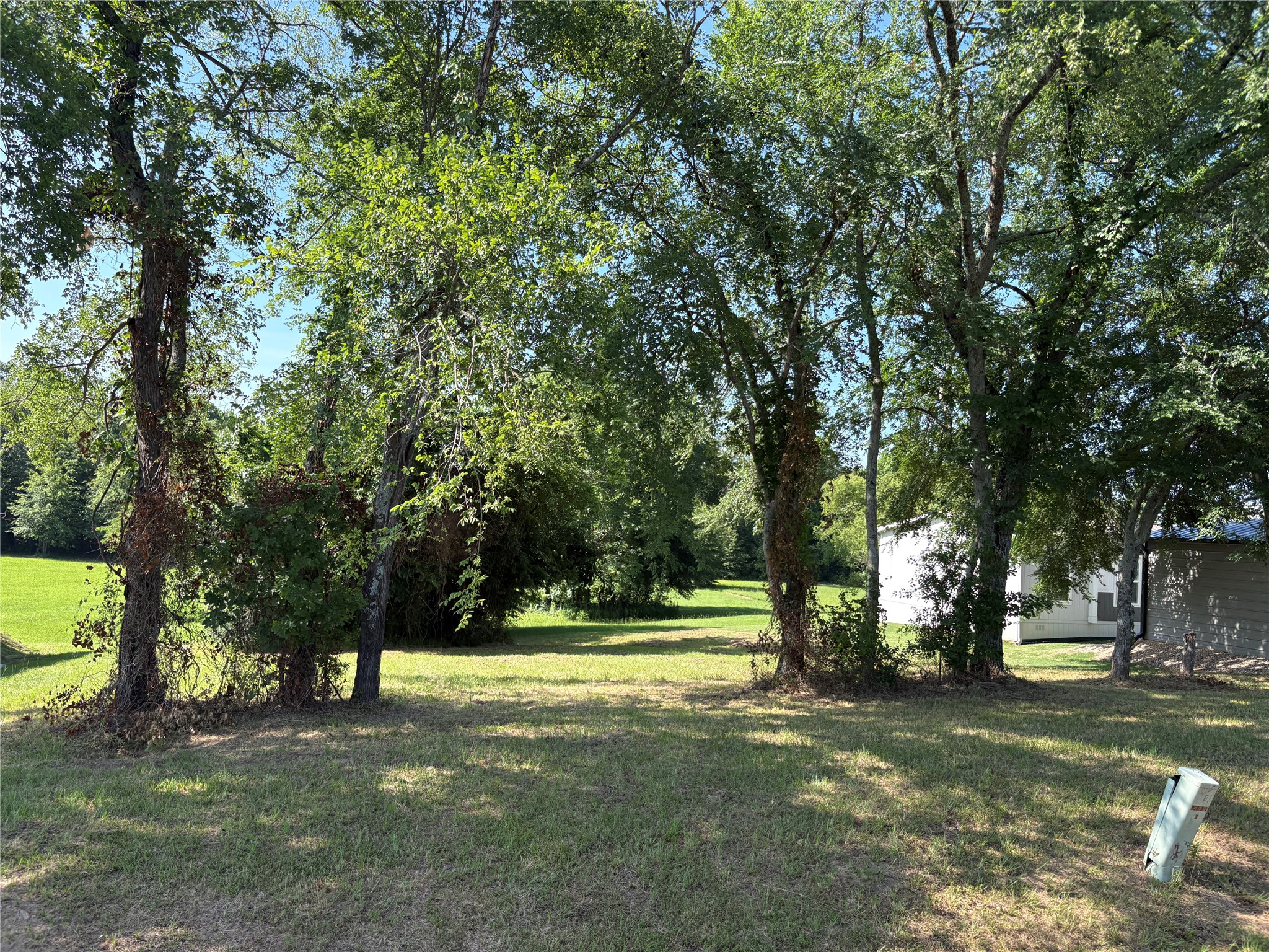 Lots 6&7 Indian Gap Quitman TX 75783