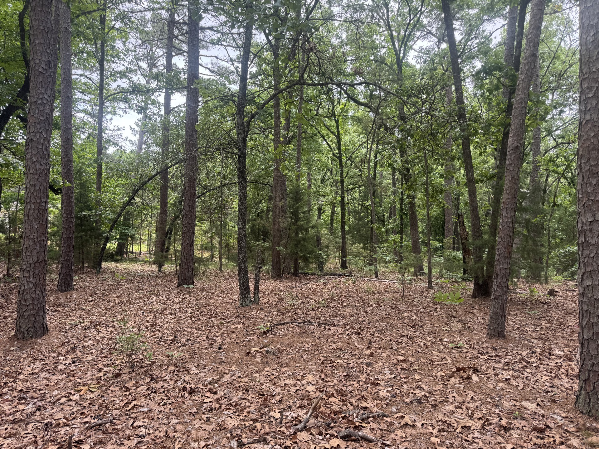 000 Cr 34980 Powderly TX 75473