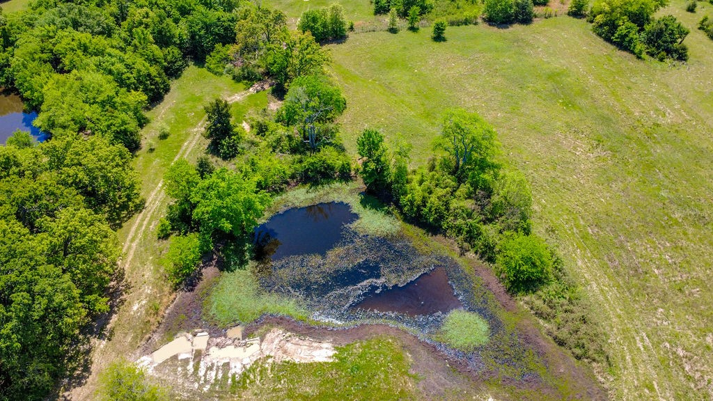 3054 County Road 1165 Brashear TX 75420