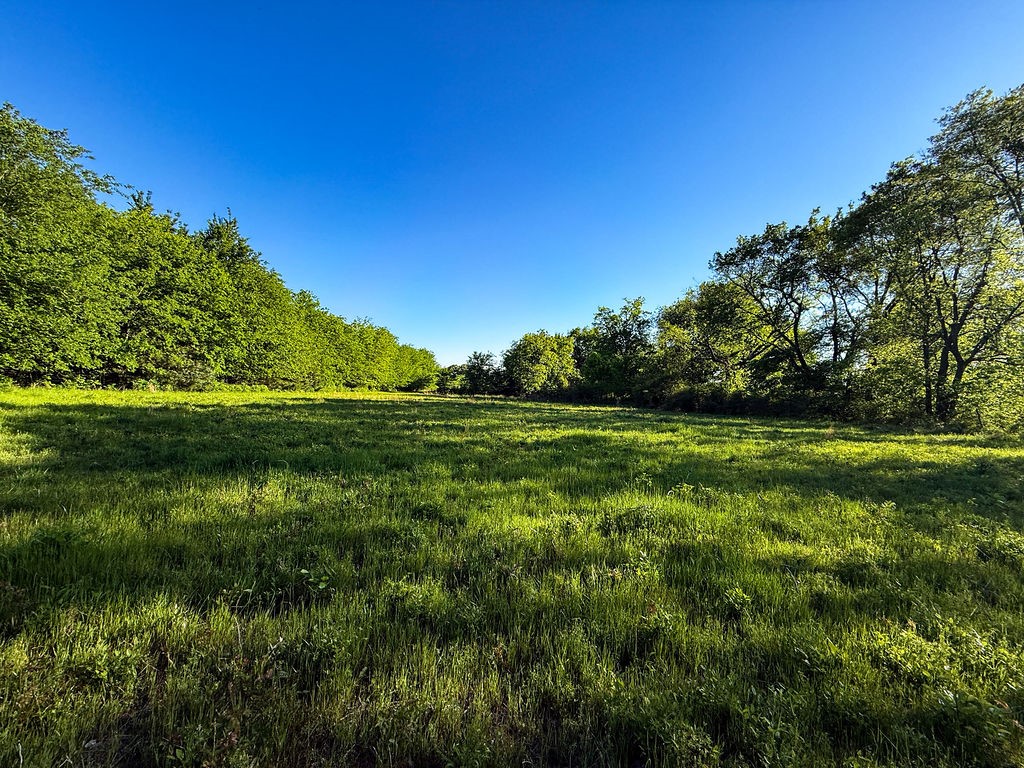 3054 County Road 1165 Brashear TX 75420
