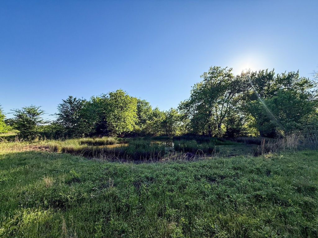 3054 County Road 1165 Brashear TX 75420