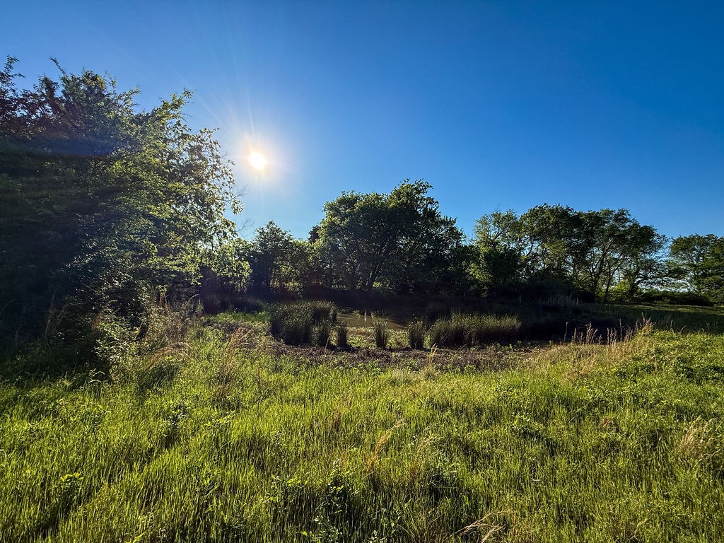 3054 County Road 1165 Brashear TX 75420