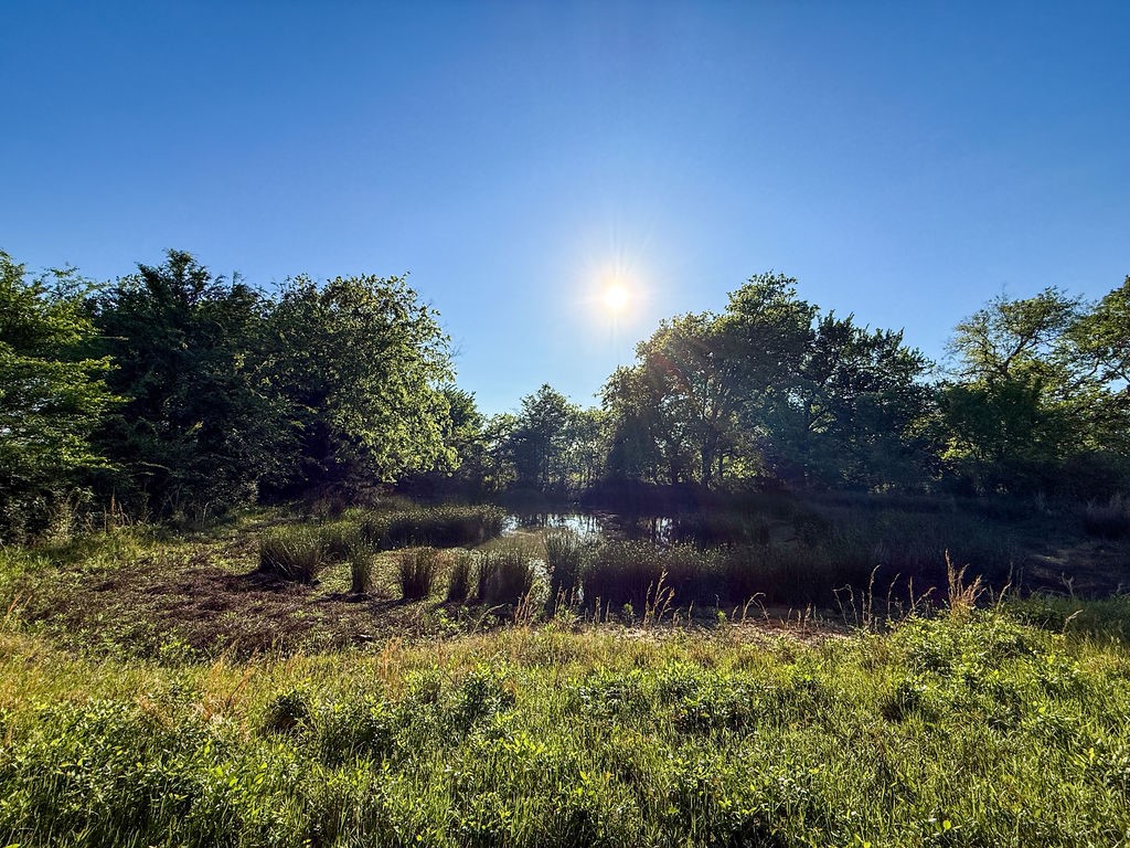 3054 County Road 1165 Brashear TX 75420