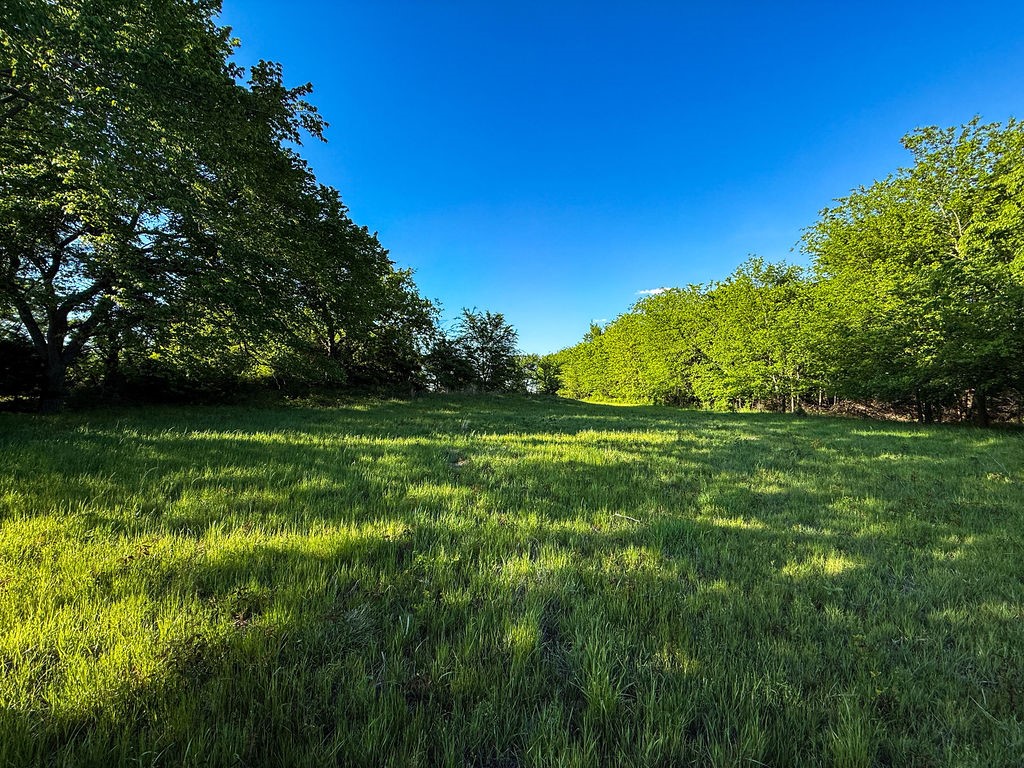 3054 County Road 1165 Brashear TX 75420
