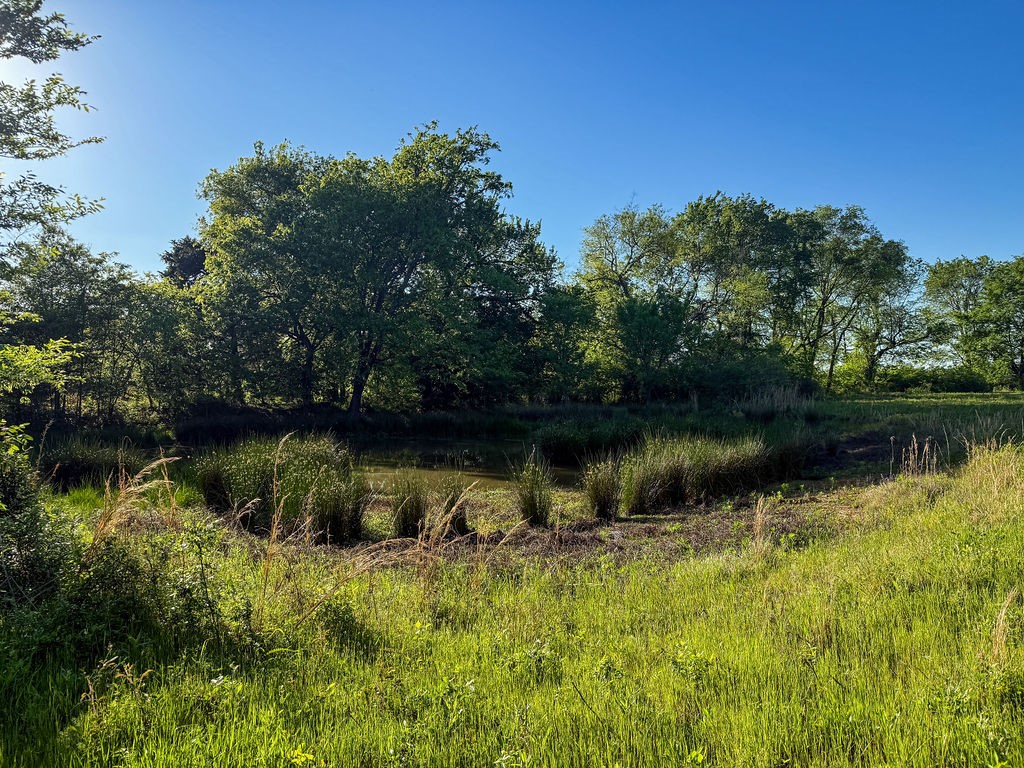 3054 County Road 1165 Brashear TX 75420