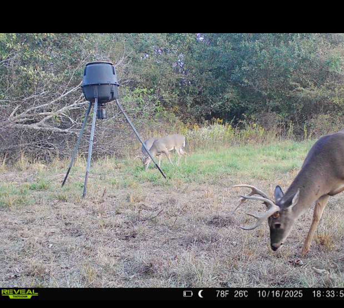 3054 County Road 1165 Brashear TX 75420