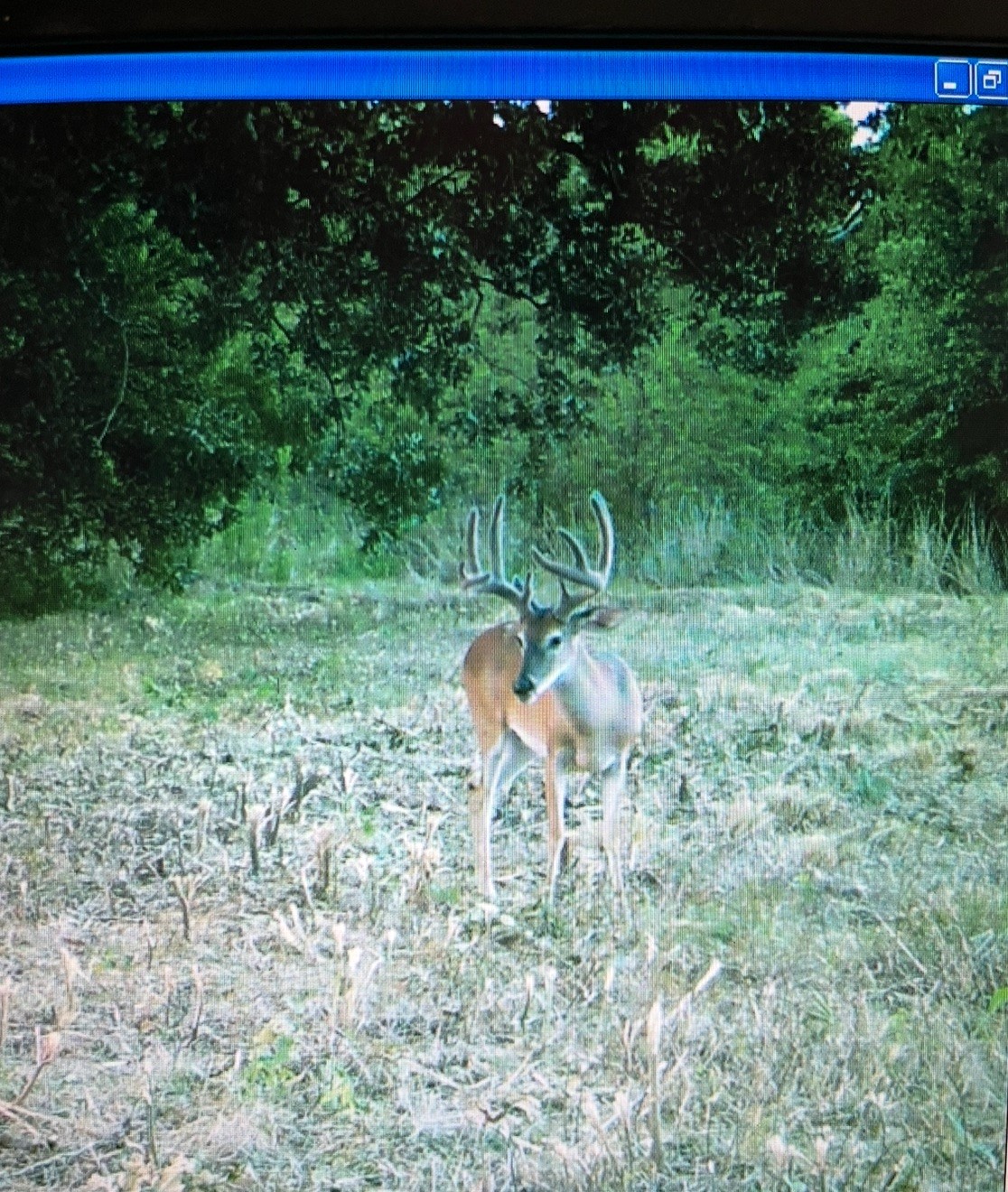 3054 County Road 1165 Brashear TX 75420