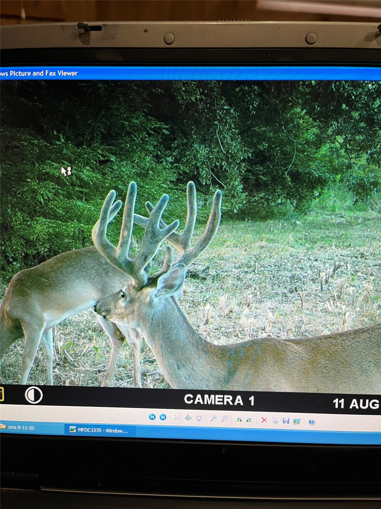 3054 County Road 1165 Brashear TX 75420