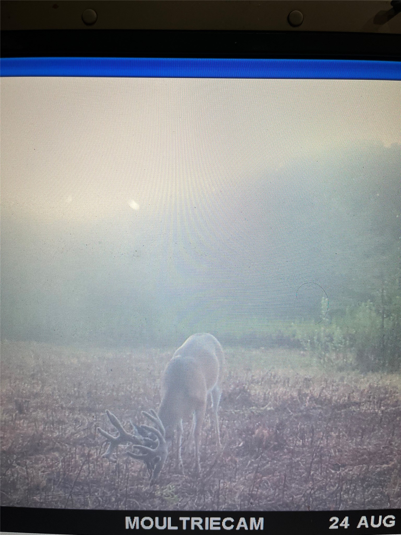3054 County Road 1165 Brashear TX 75420