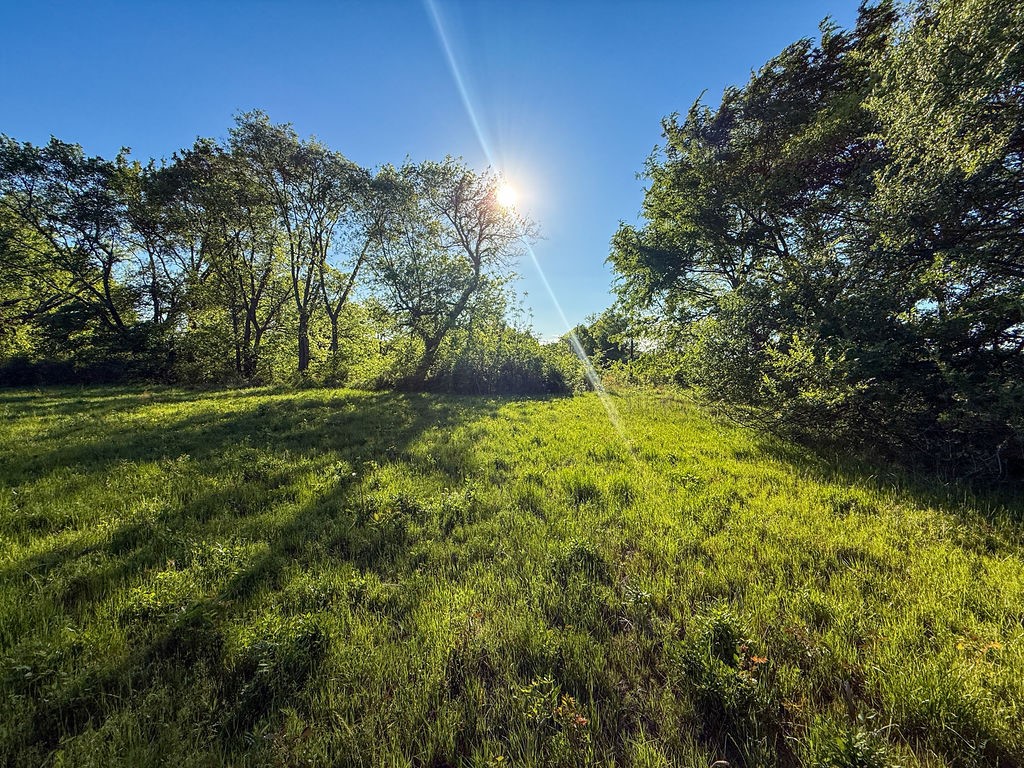 3054 County Road 1165 Brashear TX 75420