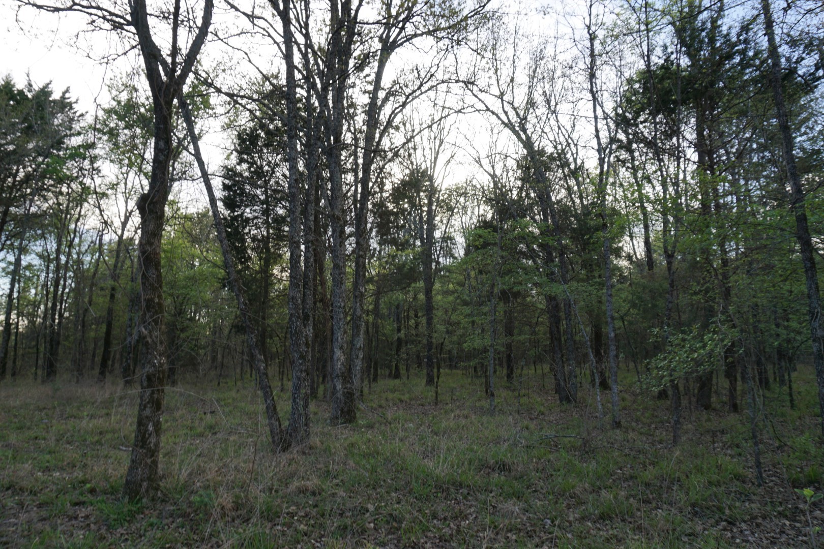 01 Cr-1403 Malakoff TX 75148