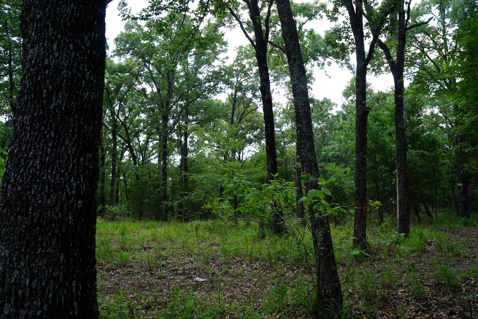 01 Cr-1403 Malakoff TX 75148
