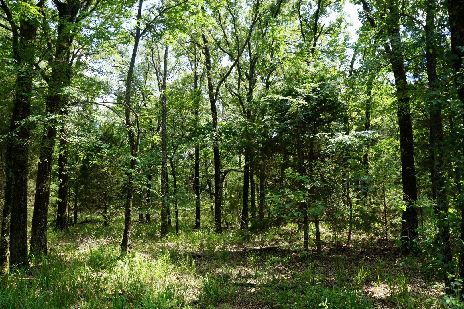 01 Cr-1403 Malakoff TX 75148