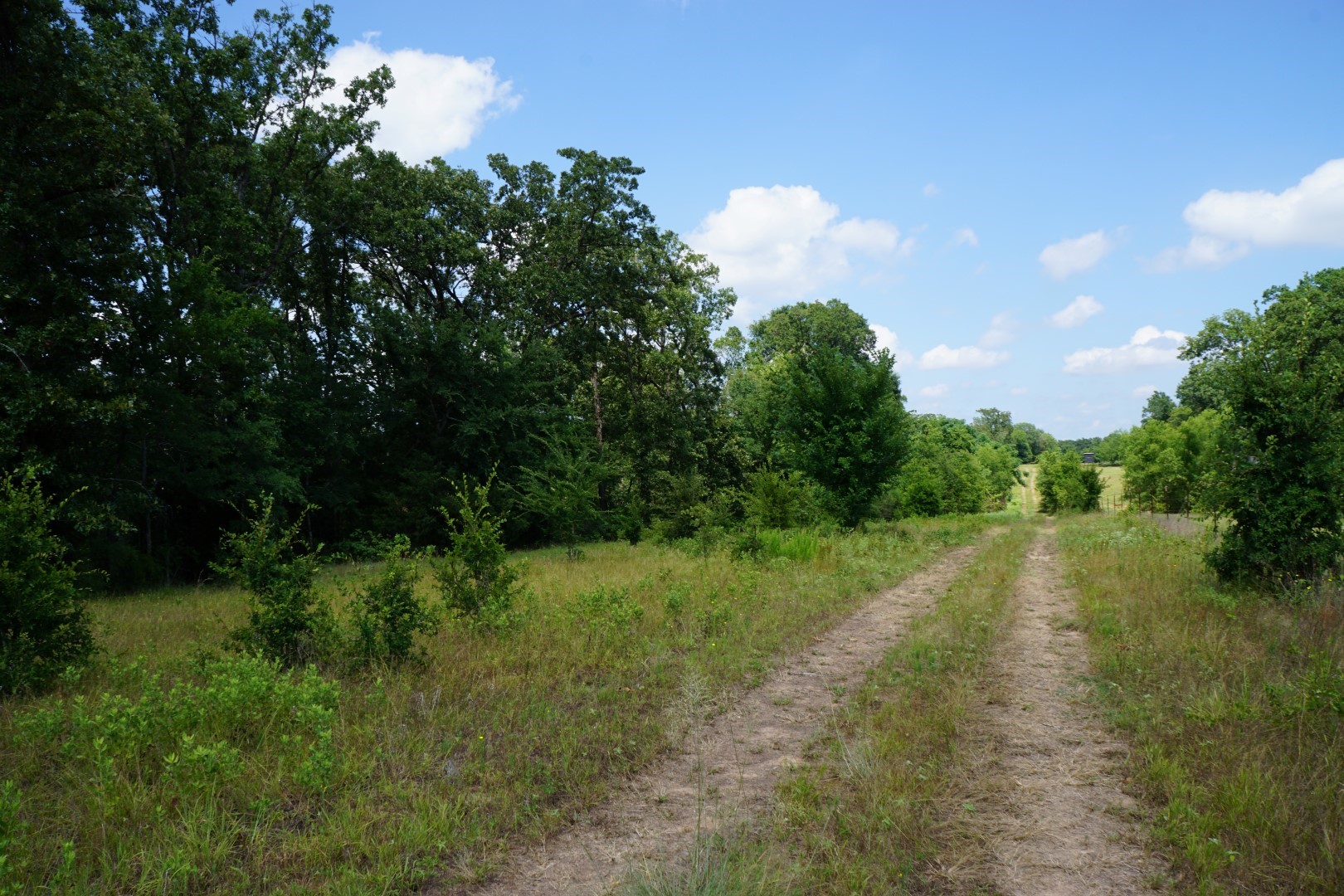 01 Cr-1403 Malakoff TX 75148