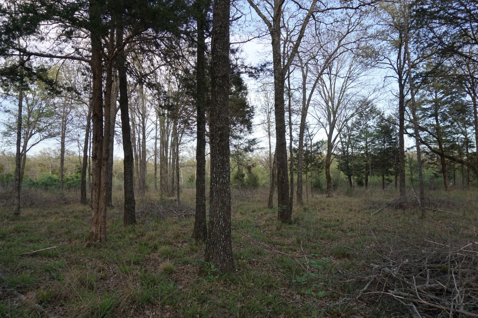01 Cr-1403 Malakoff TX 75148
