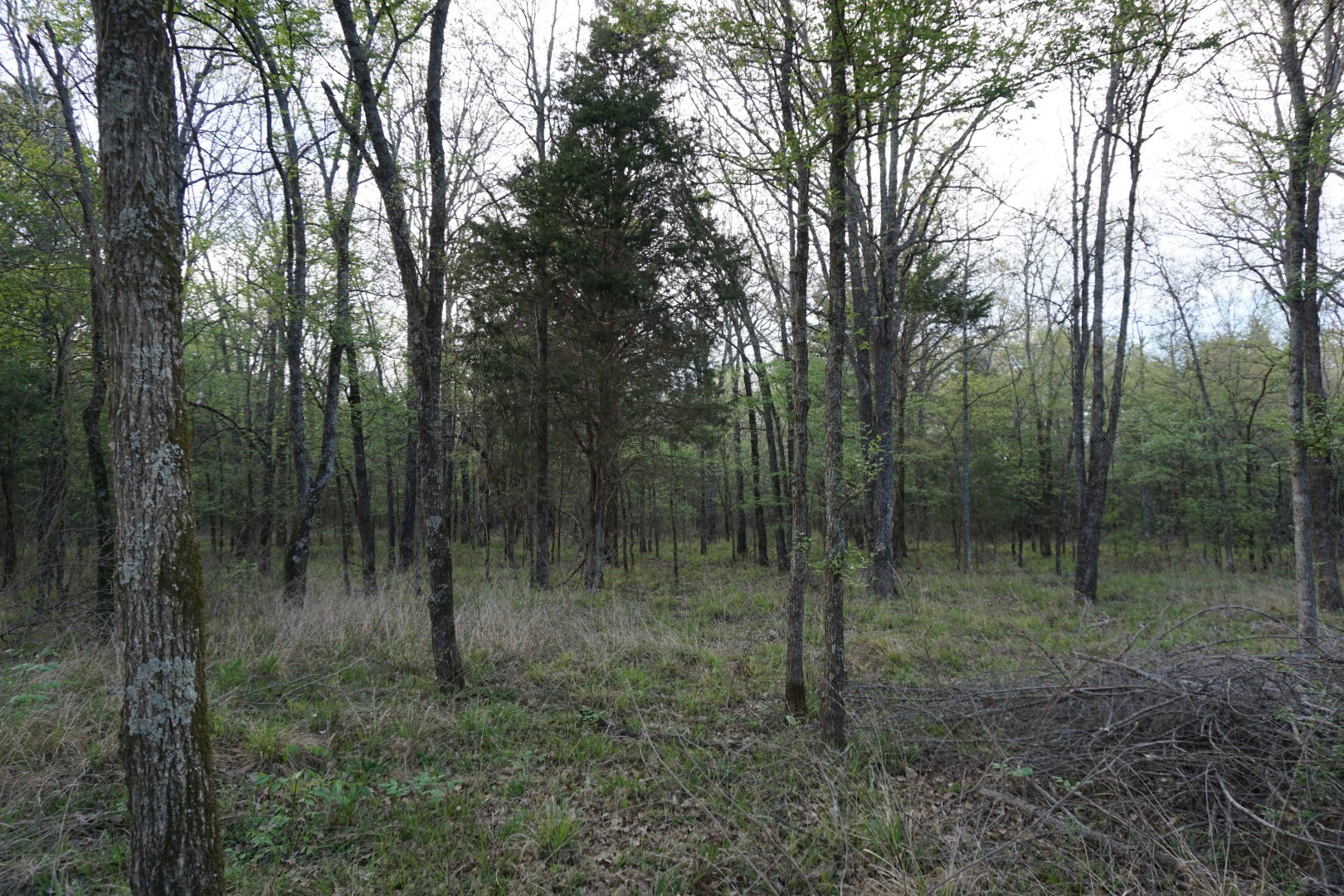01 Cr-1403 Malakoff TX 75148