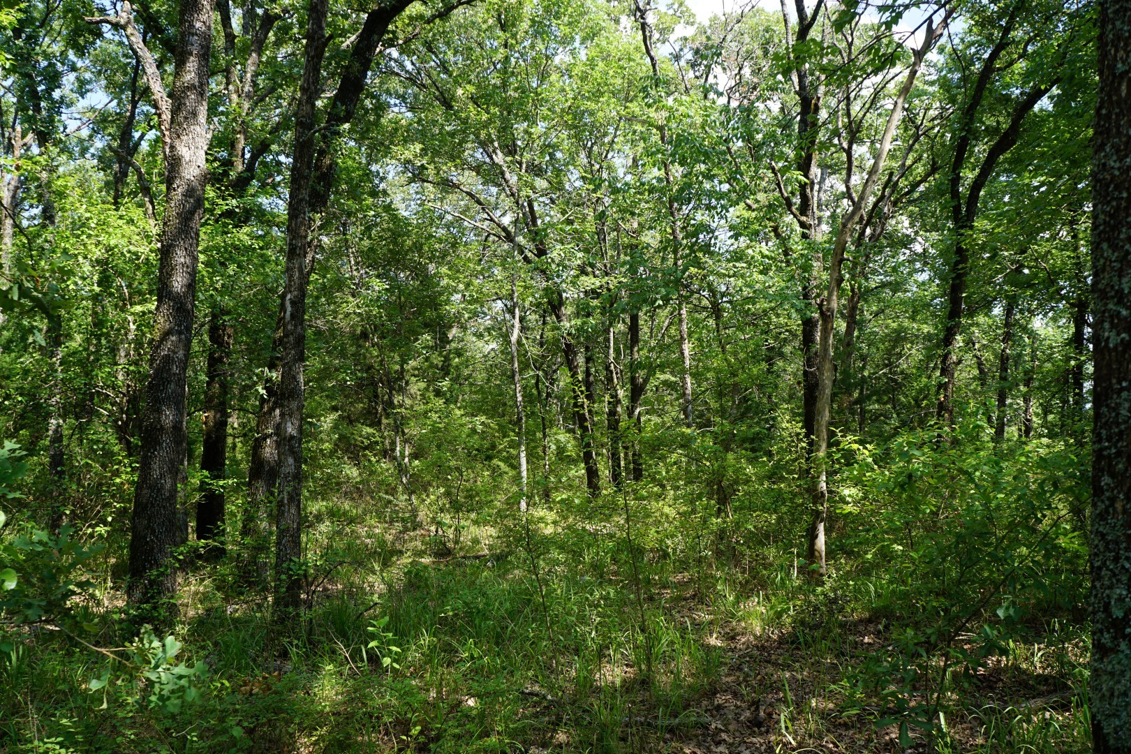 01 Cr-1403 Malakoff TX 75148