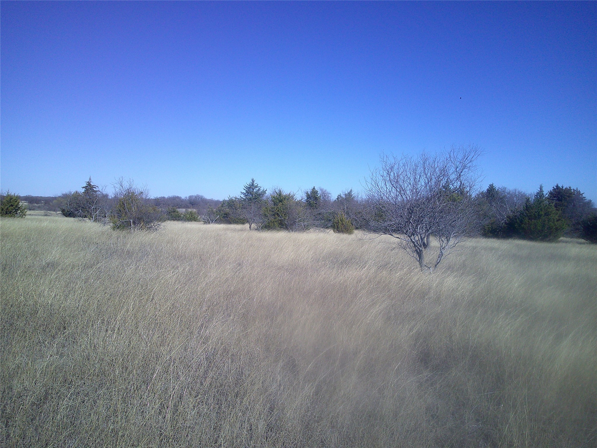 Trail 9 Cr 1750 Chico TX 76431