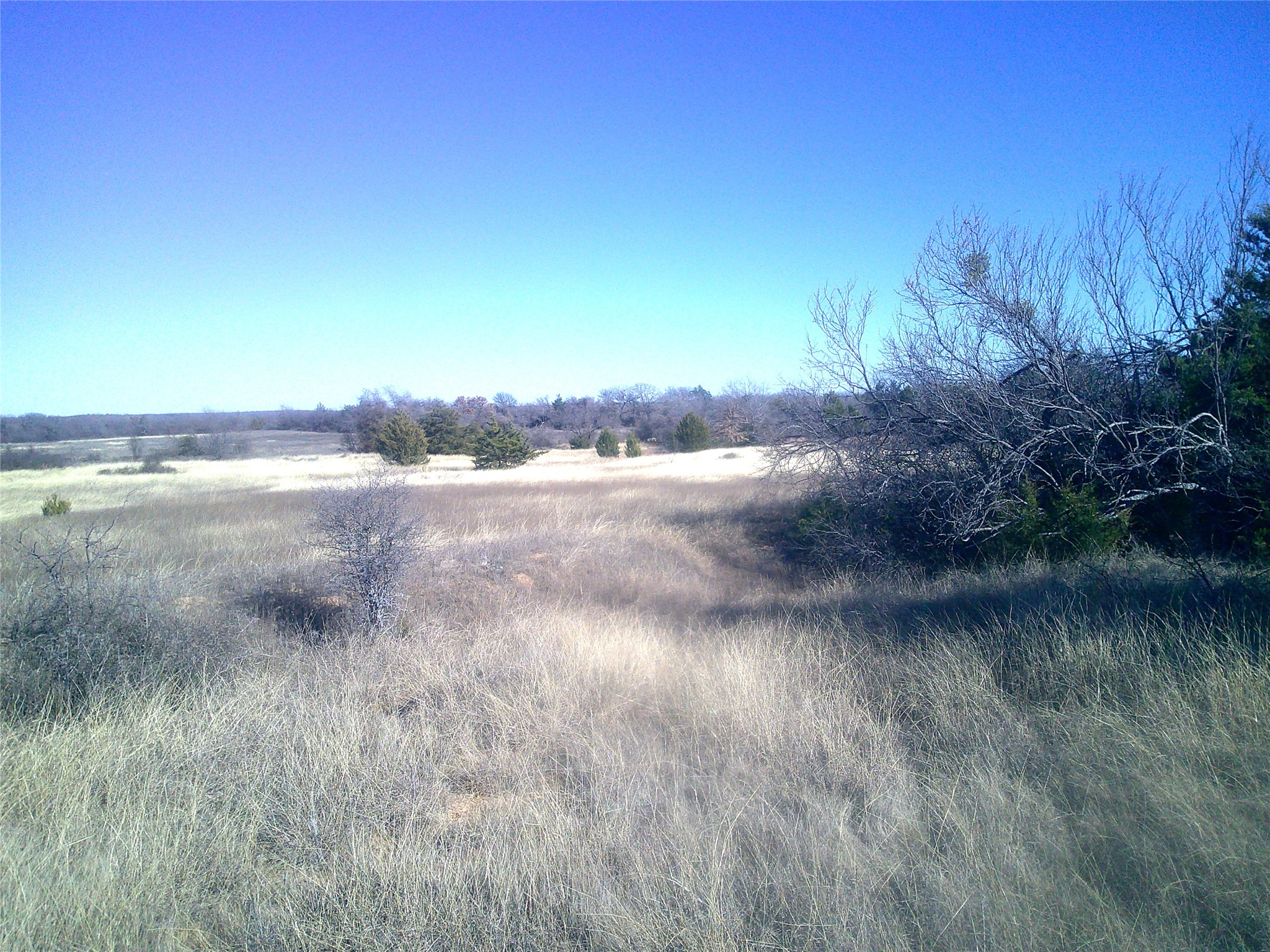 Trail 9 Cr 1750 Chico TX 76431
