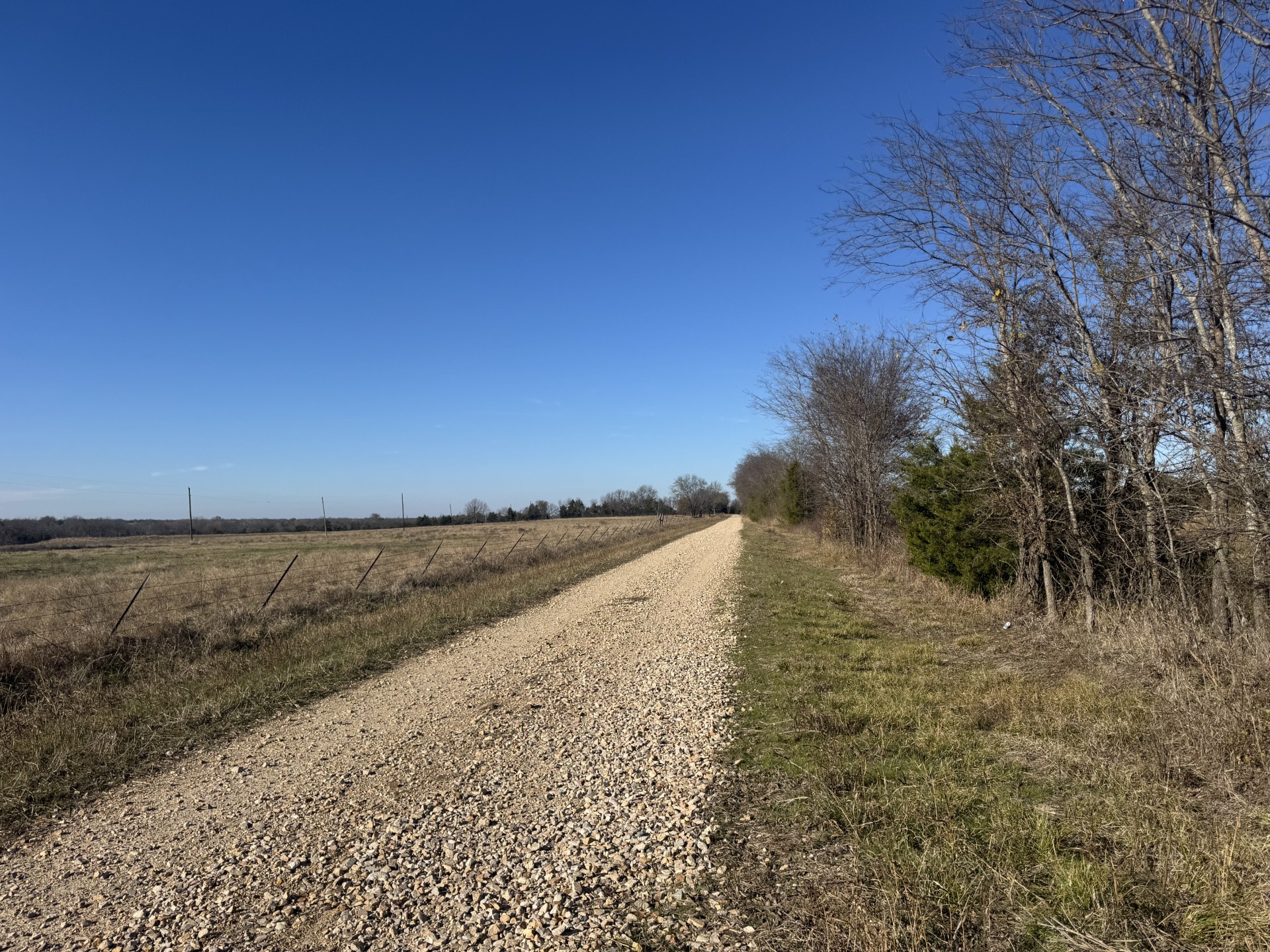 Tbd Tract 12 Fm 2675 Roxton TX 75477