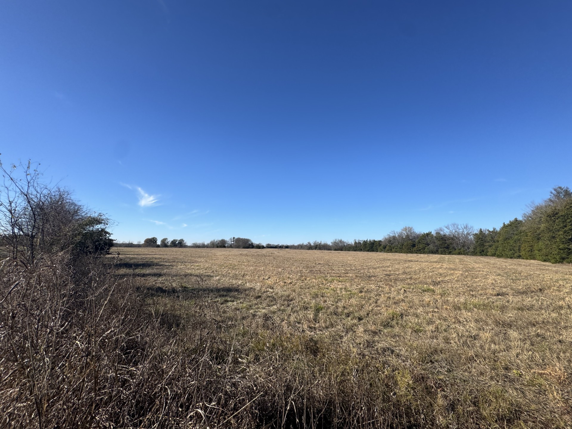 Tbd Tract 12 Fm 2675 Roxton TX 75477