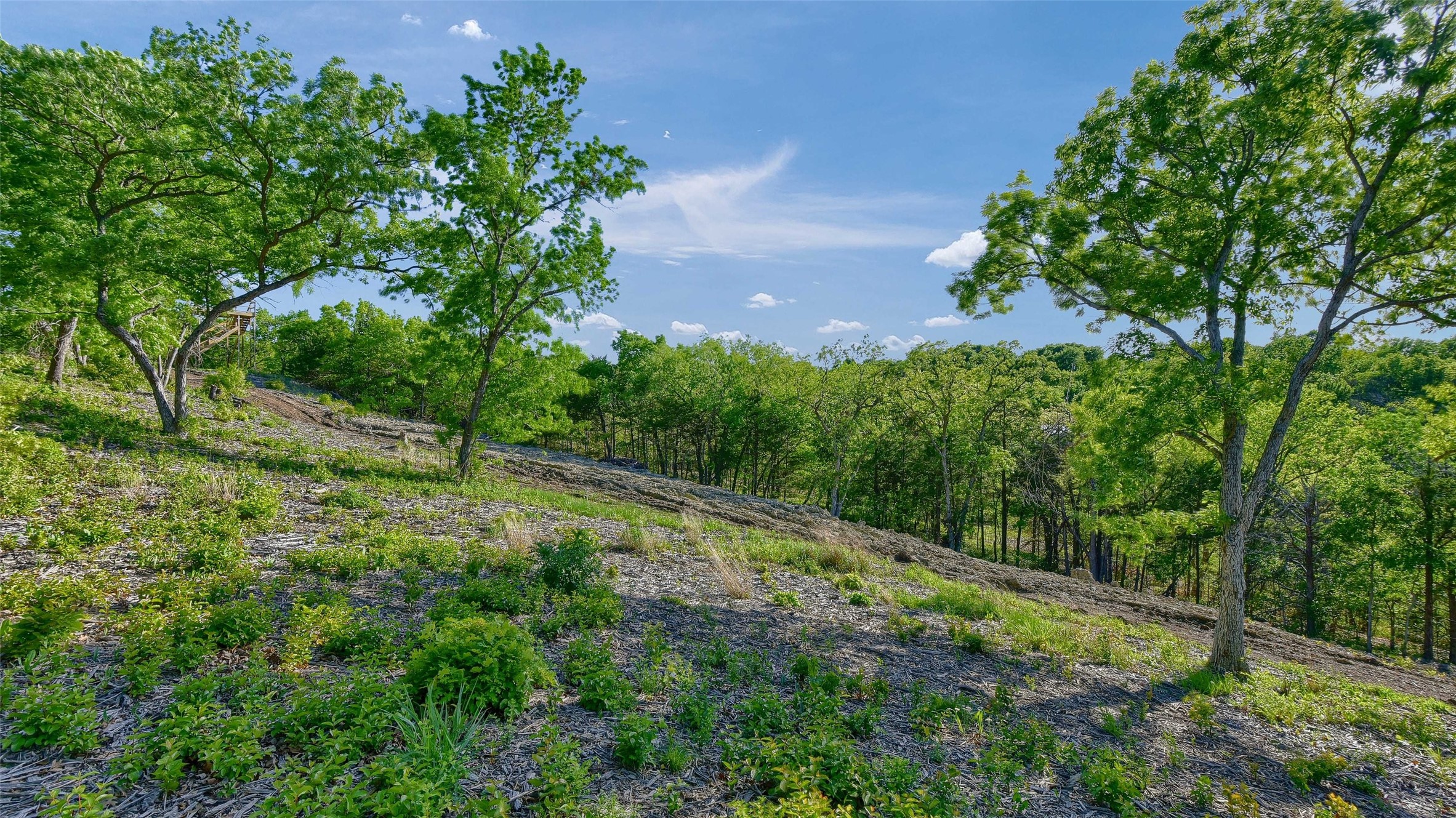Lot 2a-1 Thompson Heights Drive Denison TX 75020