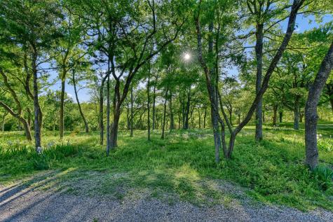 Lot 2a-1 Thompson Heights Drive Denison TX 75020