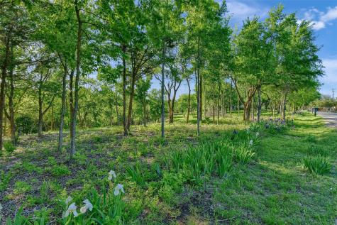 Lot 2a-1 Thompson Heights Drive Denison TX 75020