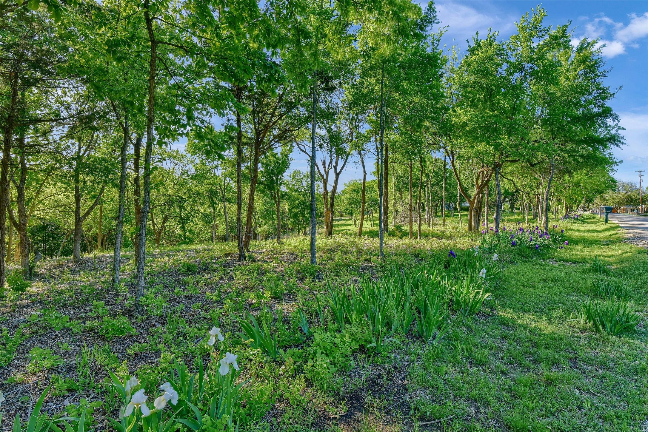 Lot 2a-1 Thompson Heights Drive Denison TX 75020