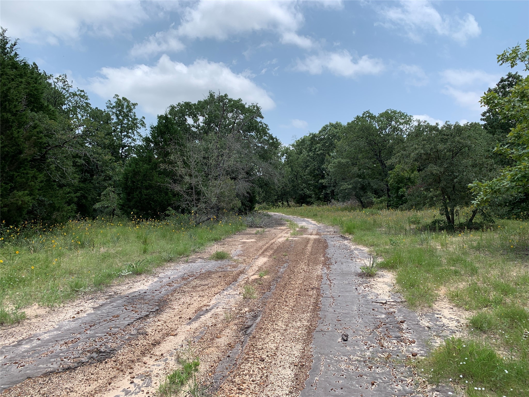 Tbd Hills Drive Athens TX 75751