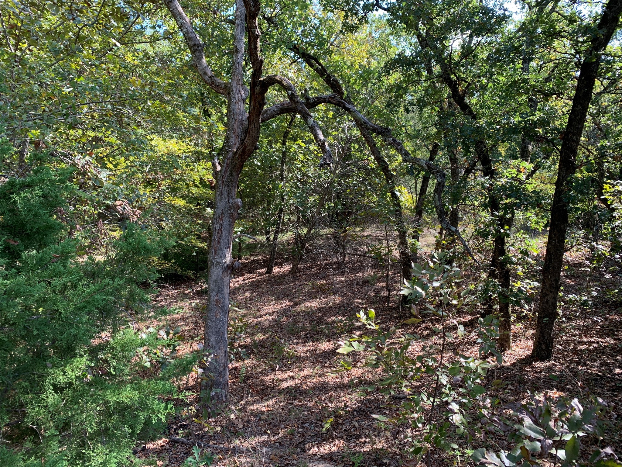 Tbd Hills Drive Athens TX 75751