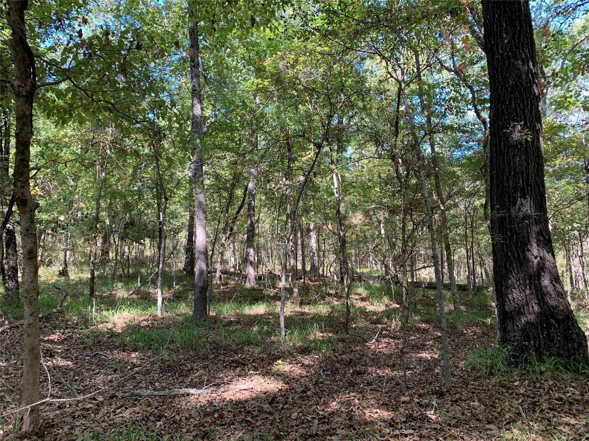 Tbd Hills Drive Athens TX 75751