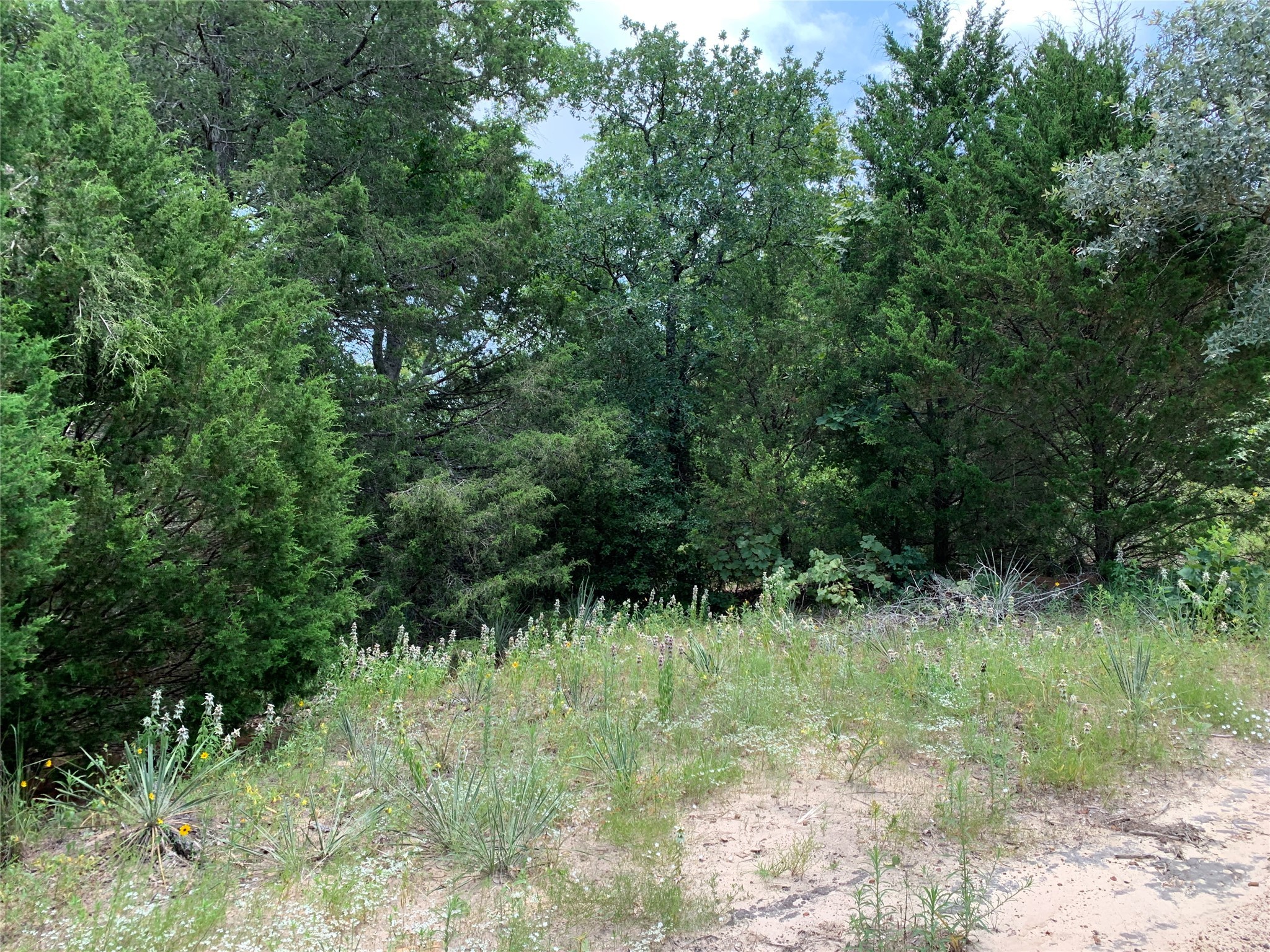 Tbd Hills Drive Athens TX 75751