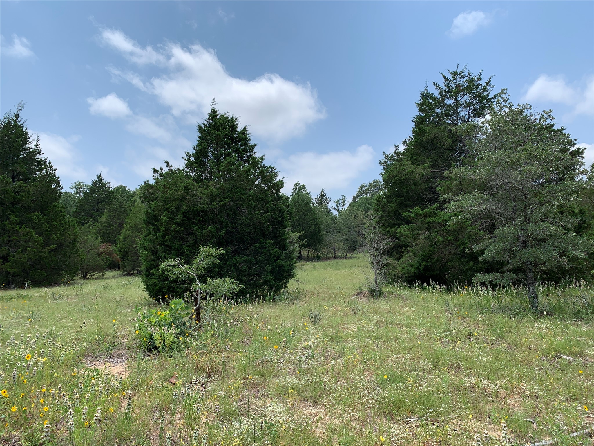 Tbd Hills Drive Athens TX 75751