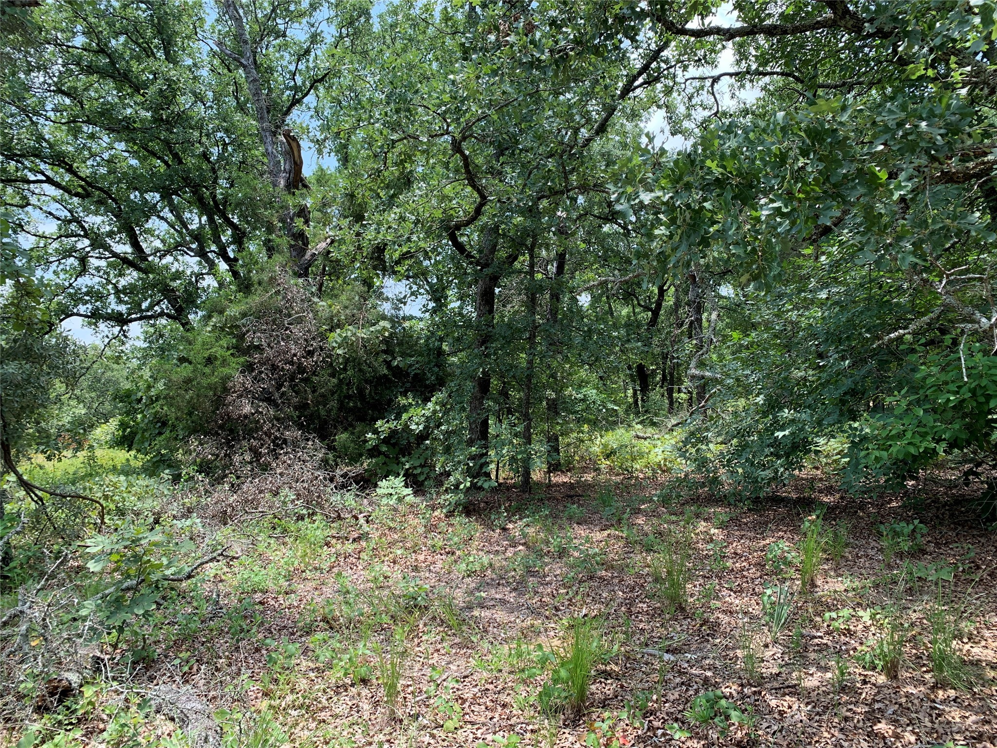 Tbd Hills Drive Athens TX 75751