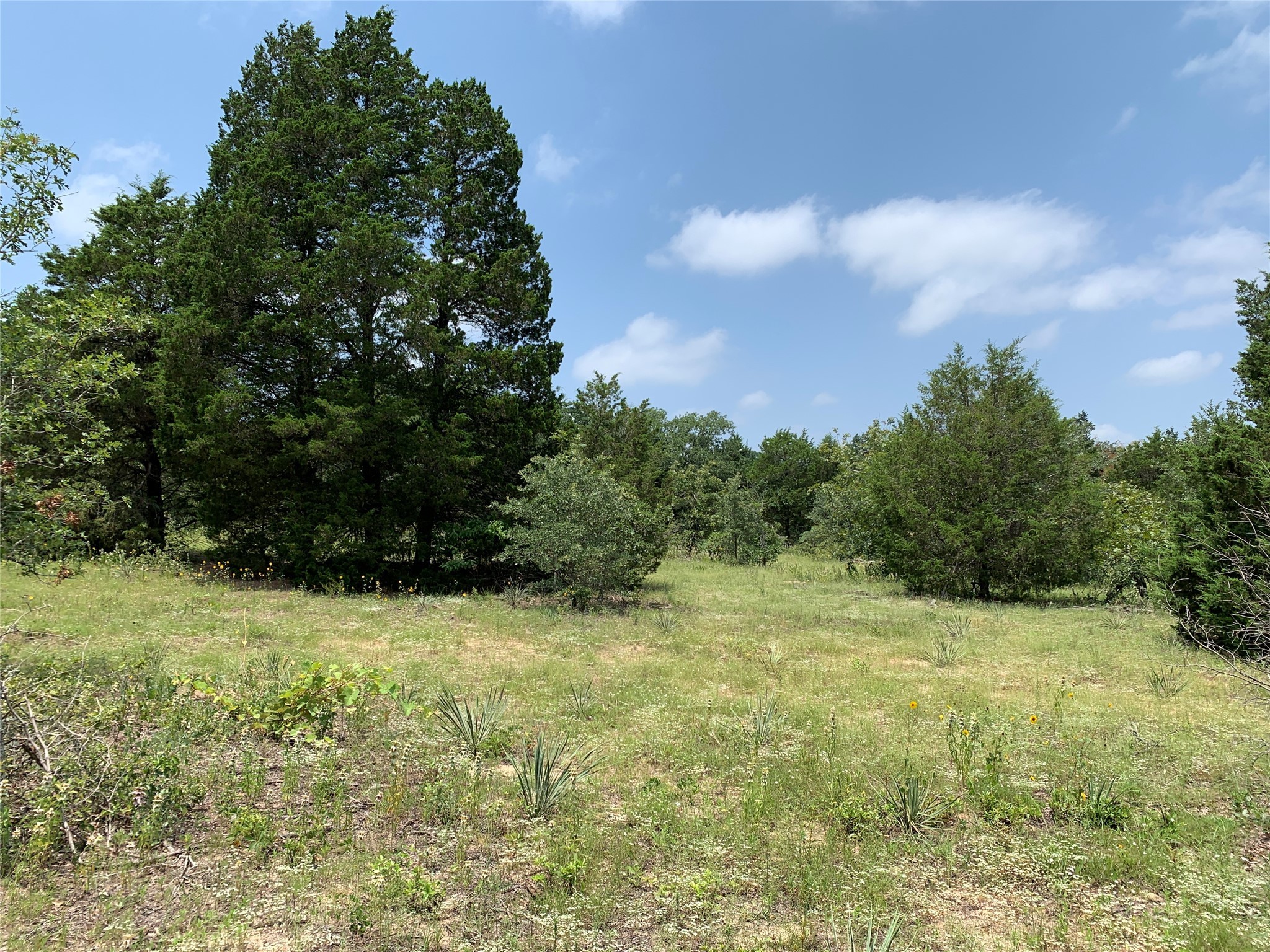 Tbd Hills Drive Athens TX 75751