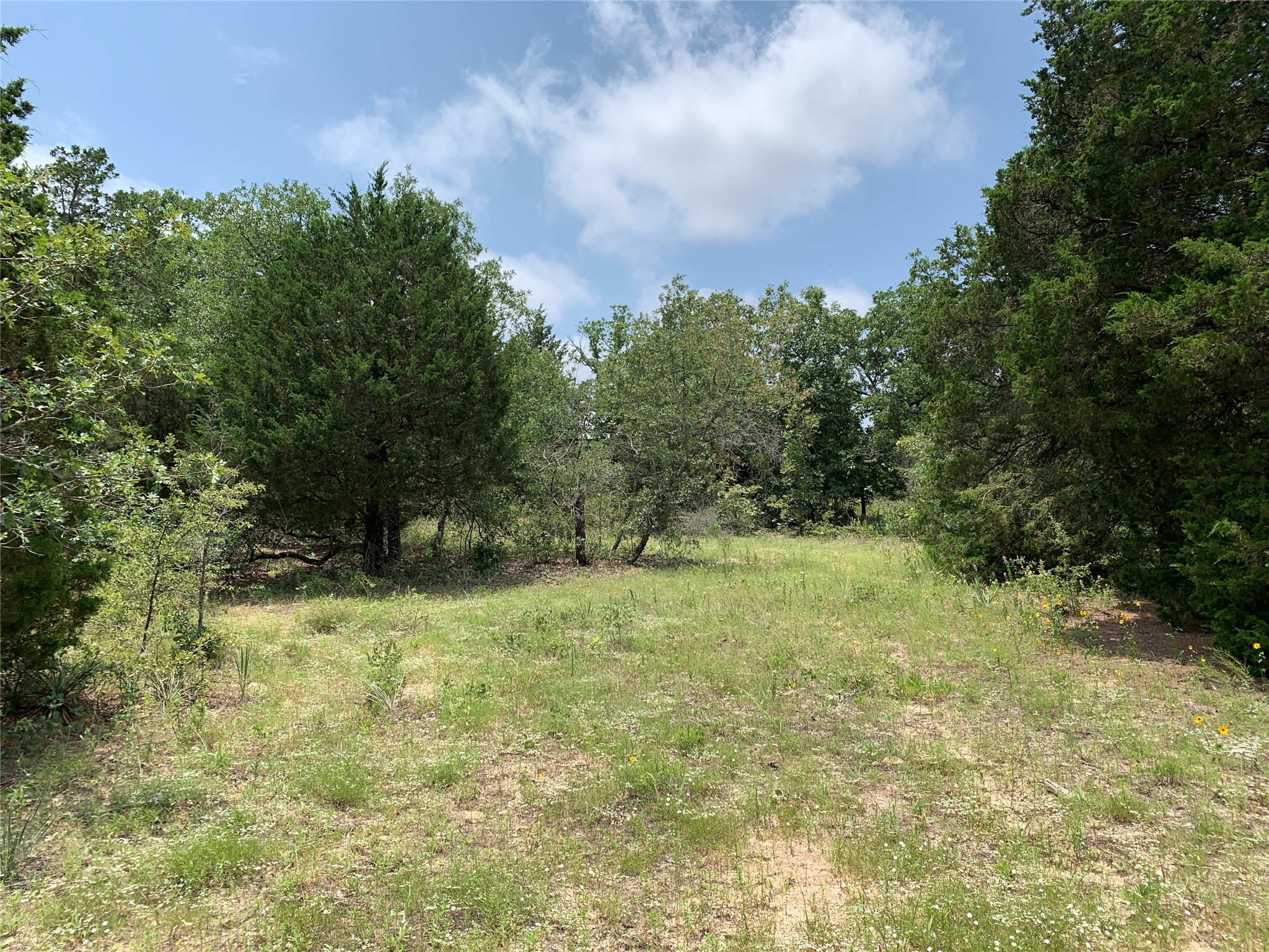 Tbd Hills Drive Athens TX 75751