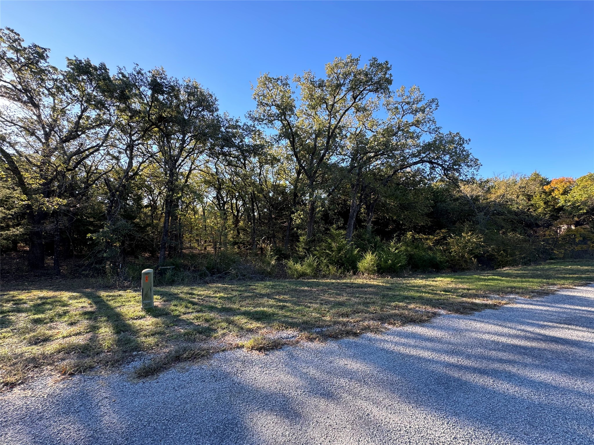 20 Timber Trail Tioga TX 76271