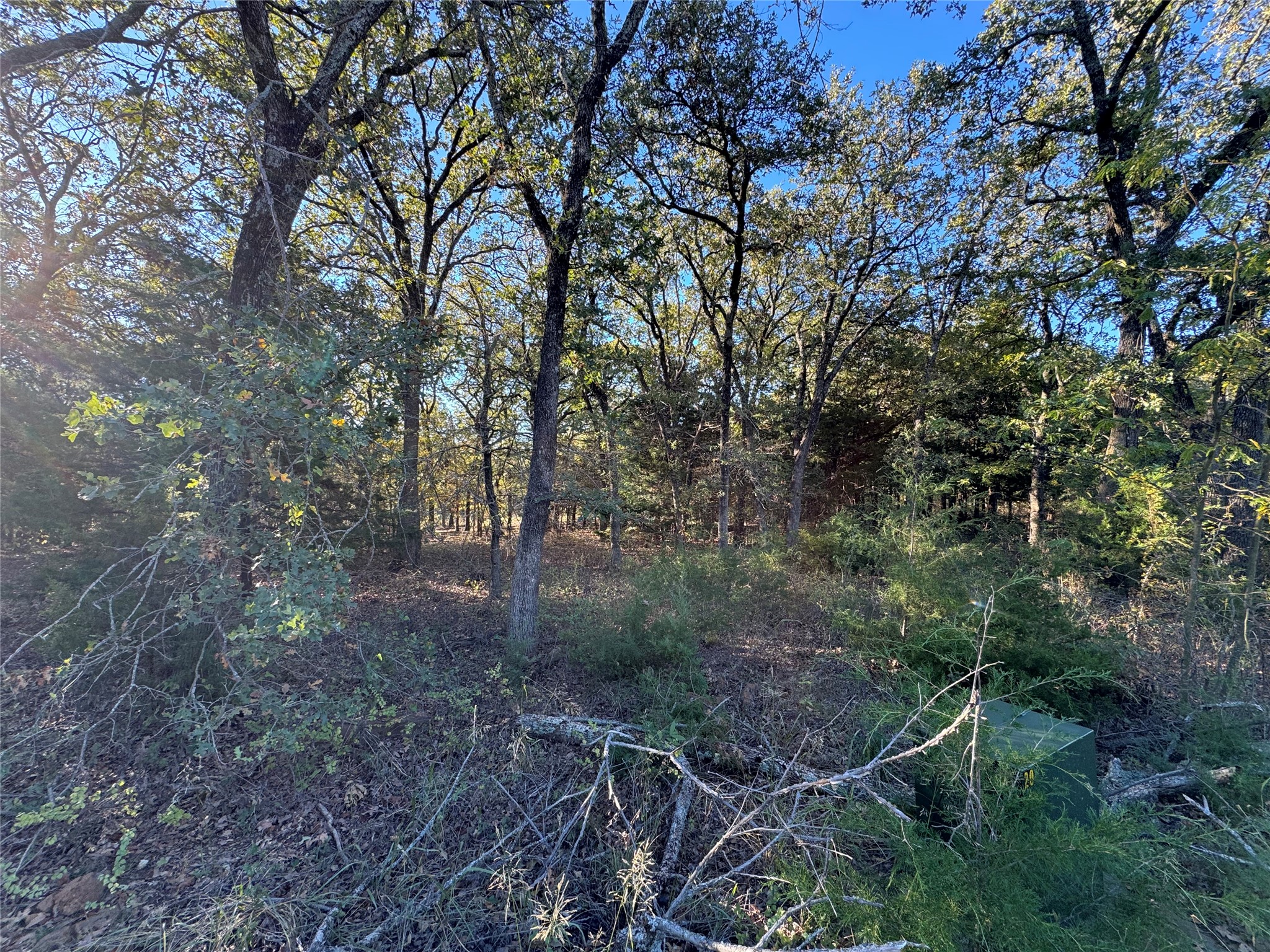 20 Timber Trail Tioga TX 76271