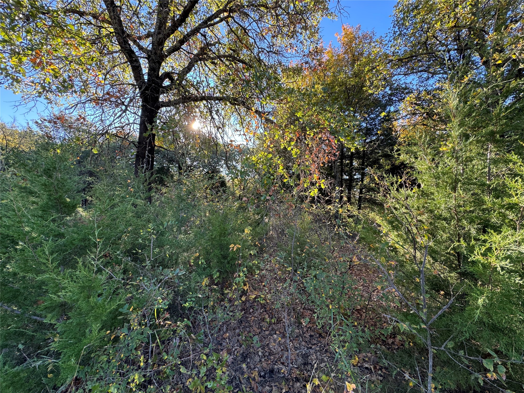 20 Timber Trail Tioga TX 76271