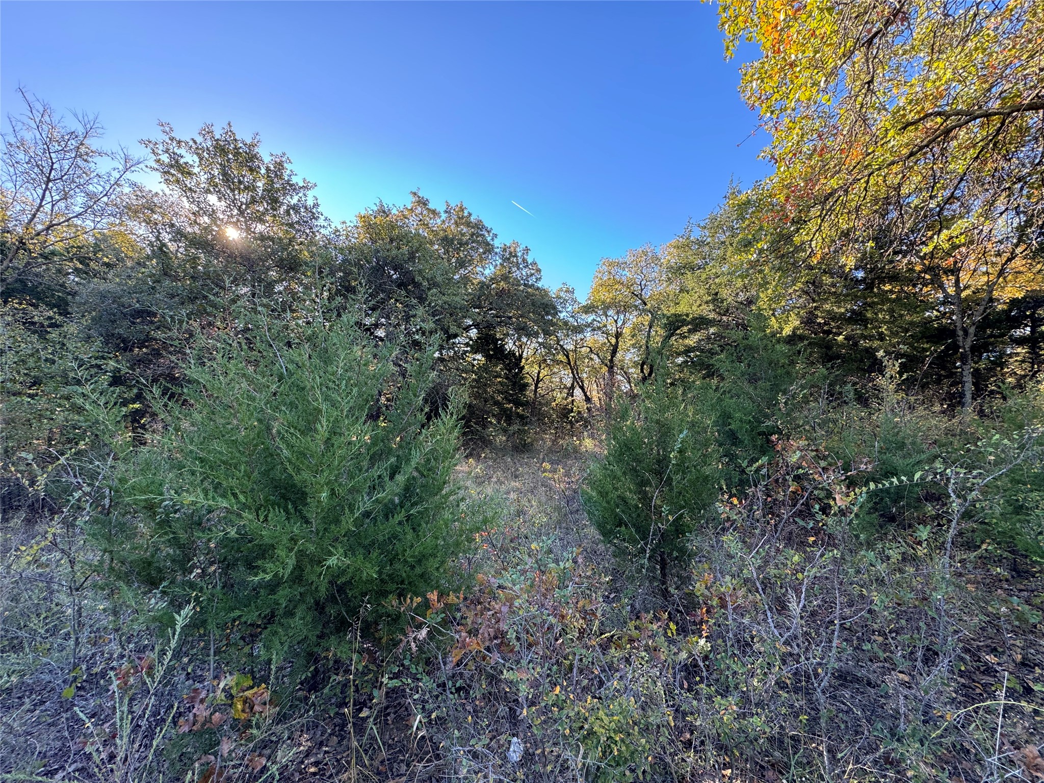 20 Timber Trail Tioga TX 76271