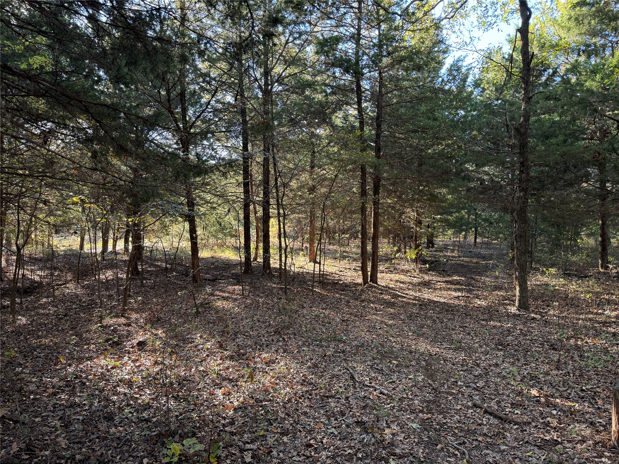 20 Timber Trail Tioga TX 76271
