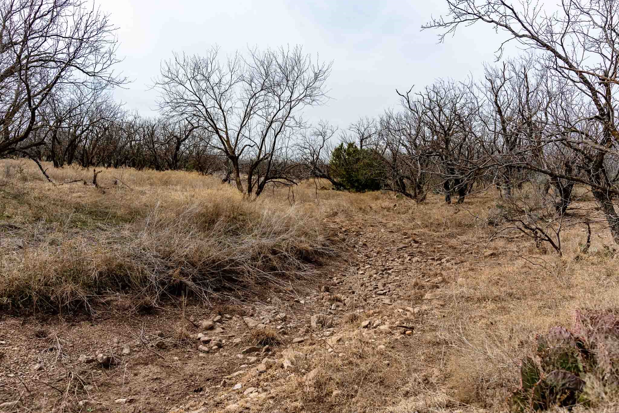 577 County Road 364 Miles TX 76861