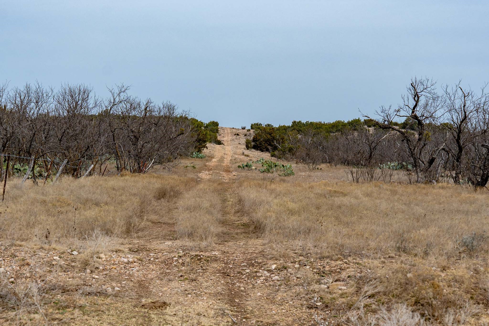 577 County Road 364 Miles TX 76861