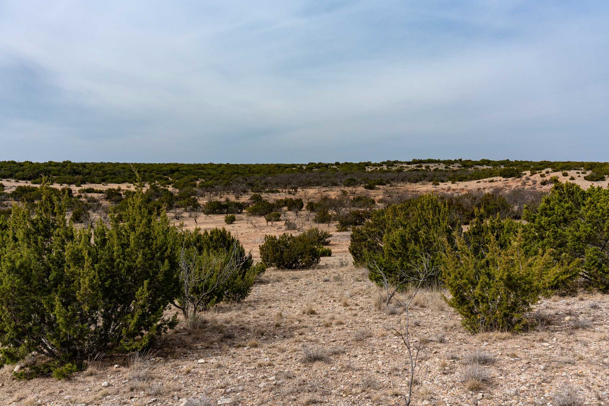 577 County Road 364 Miles TX 76861