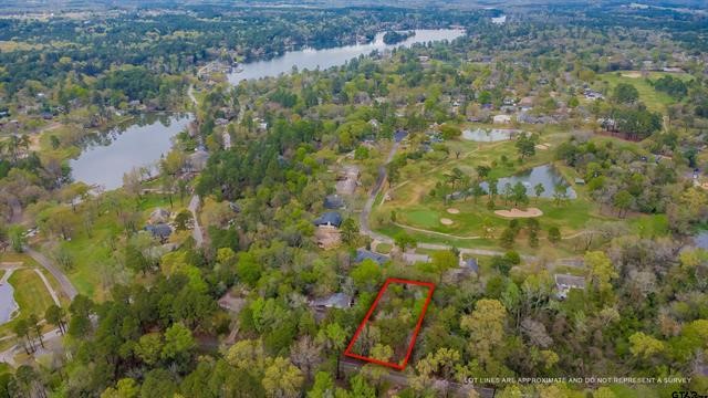 161 Fairway Drive E Hideaway TX 75771