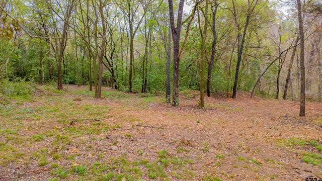161 Fairway Drive E Hideaway TX 75771