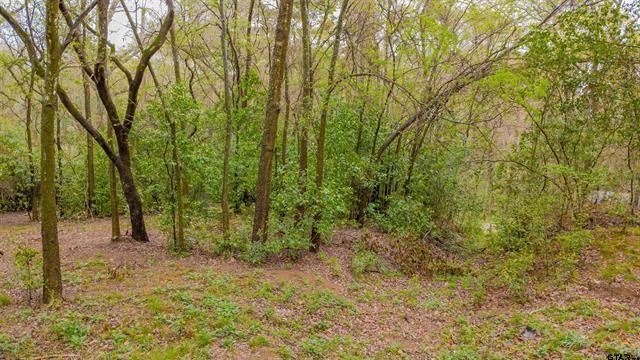 161 Fairway Drive E Hideaway TX 75771