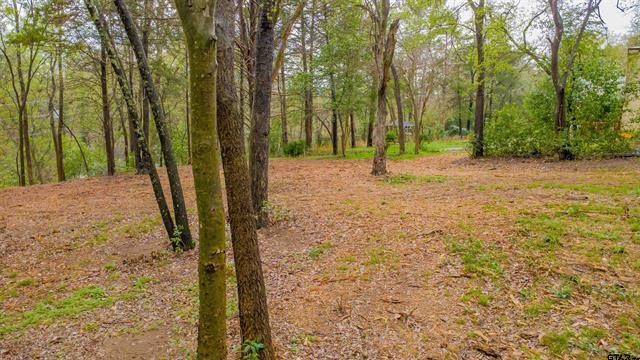 161 Fairway Drive E Hideaway TX 75771