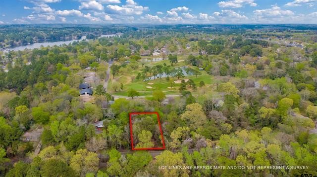 161 Fairway Drive E Hideaway TX 75771